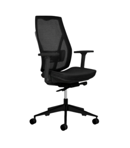 Verta Task Ergonomic Chair