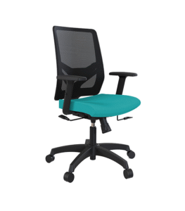 Ergonomic Libro Chair
