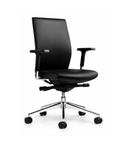 Elise Ergonomic Task Chair