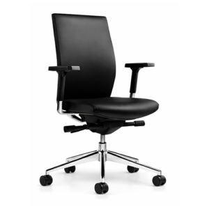 Elise Ergonomic Task Chair