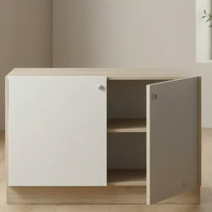 2 Compartment Closed Office Storage Cabinet with 1 Adjustable Shelf