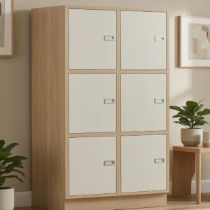 Large office locker