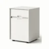 STORAGE PEDESTAL TO KEEP BELOW OFFICE DESK (METAL ) Under Desk Storage Pedestal