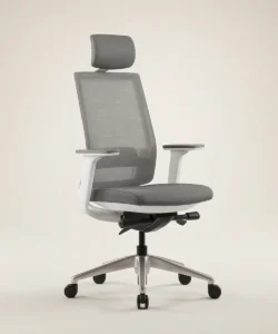 Ergonomic Chair VIX-A-BS with Aluminium Base, High Back Mesh Chair and Removable Headrest