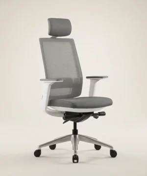 Ergonomic Chair VIX-A-BS
