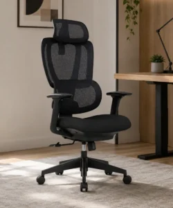 Office Chair With Adjustable Lumbar Support, CH-571A and CH-571B Models